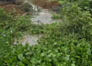 Kepedulian Ketua LSM GMBI Distrik Lamteng Bersama Kepala Dusun dan Warga Dusun III Kampung Kesumadadi Kecamatan Bekri Lakukan Normalisasi Sungai Antisipasi Banjir