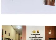 Penyerahan Sepucuk Senjata Api Rakitan (Senpira), Laras Pendek Jenis Revolcer Warna Putih Beserta Empat Amunisi dari Tokoh Masyarakat Kepada Polsek Bumiratu Nuban