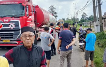Kecelakaan Mobil Truck Babi Terguling, Puluhan Ekor Berlarian ke Kebun Singkong*