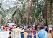 Ratusan Massa Menginap di Kebun Sawit PTPN 7 Bekri Lampung Tengah